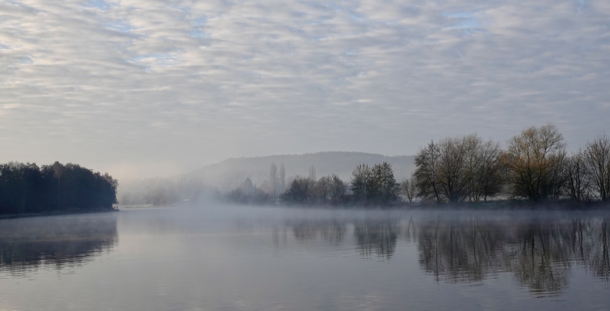 IM NEBEL EINES NEUEN MORGENS - CAROLYN HAINES