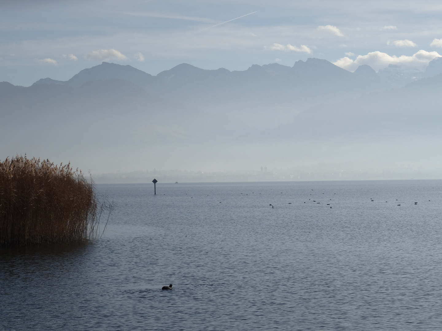 im Nebel eingehüllt