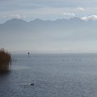 im Nebel eingehüllt