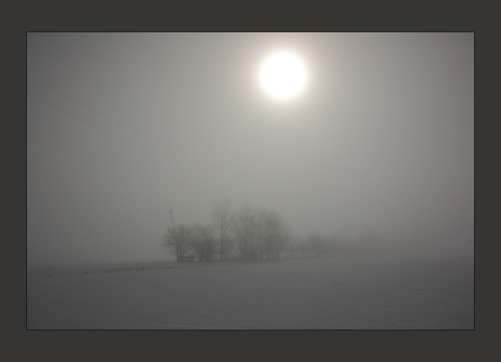 im Nebel eingehüllt....