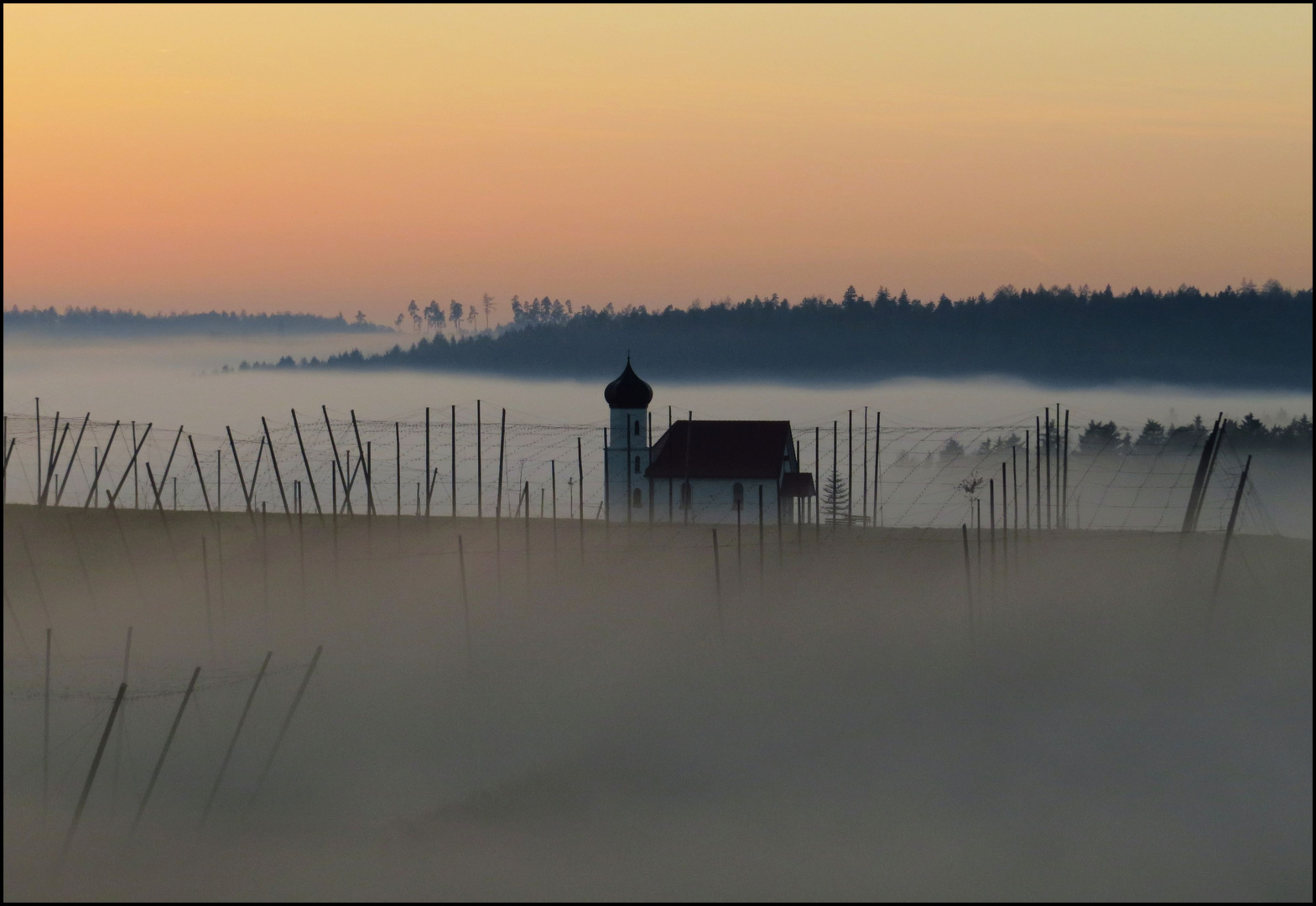 Im Nebel entschwinden....