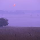 Im Nebel geht die Sonne auf...