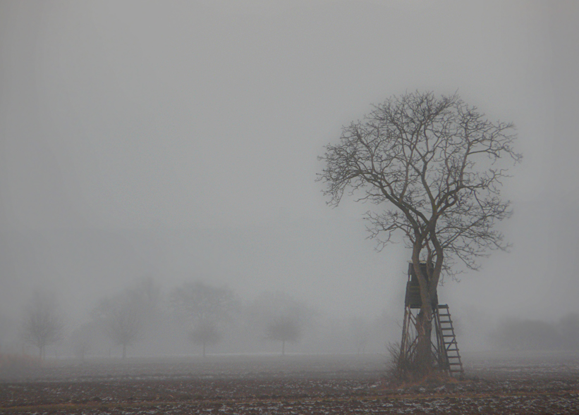 Im Nebel I