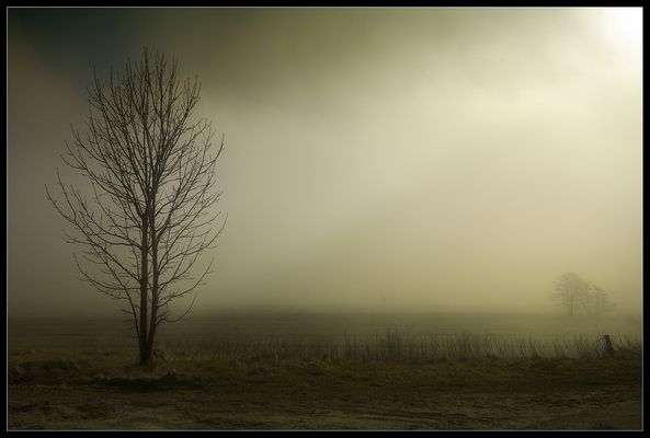 Im Nebel I