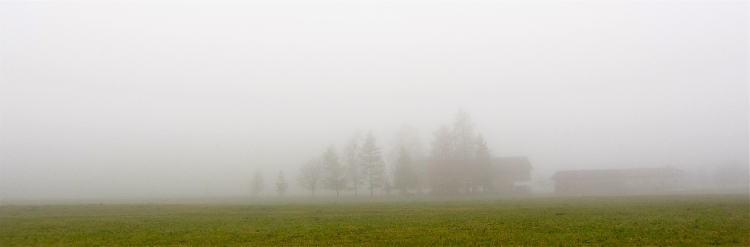 Im Nebel ( II )