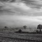 Im Nebel II [IR]