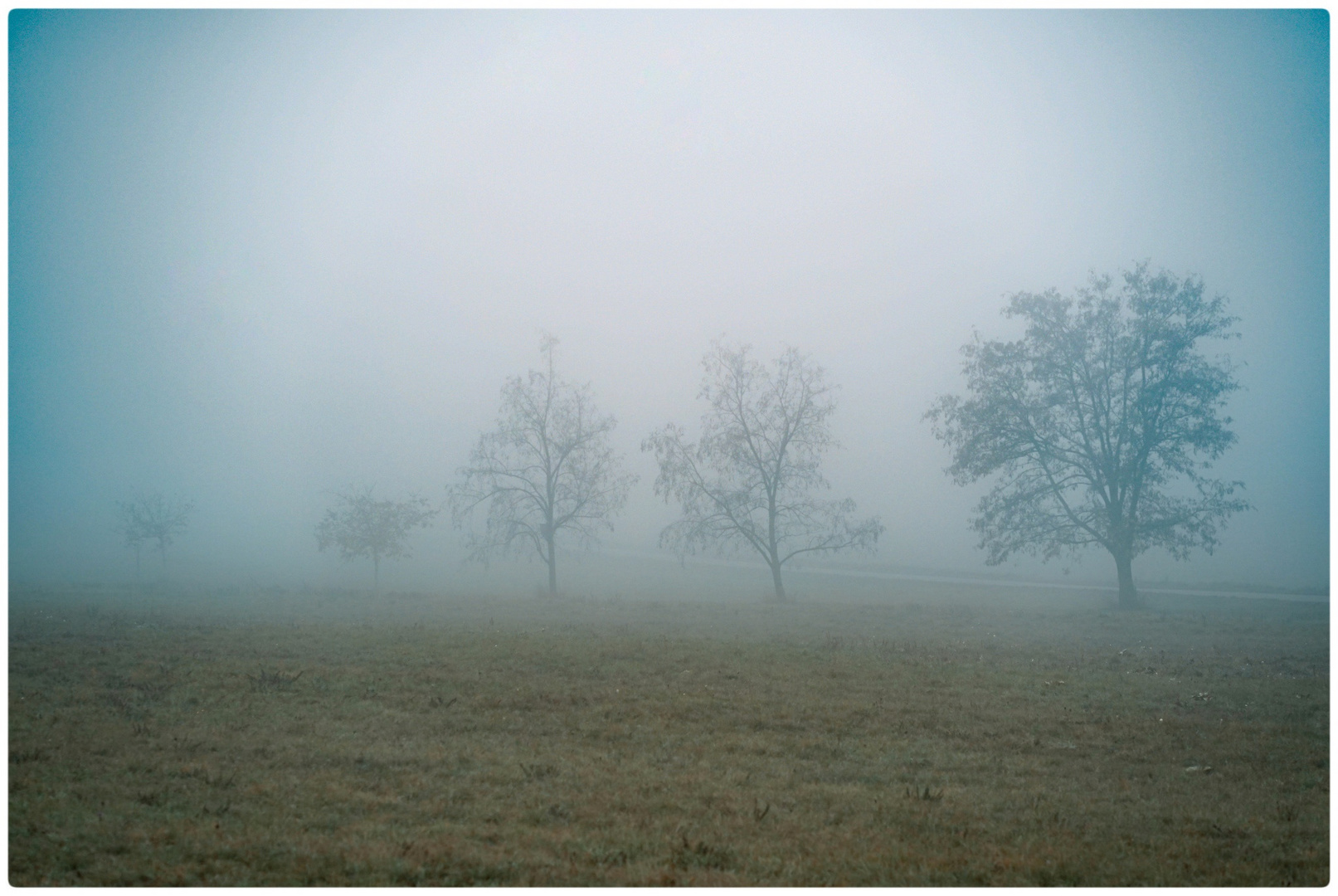 Im Nebel mit Hermann Hesse