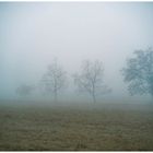 Im Nebel mit Hermann Hesse