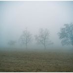 Im Nebel mit Hermann Hesse