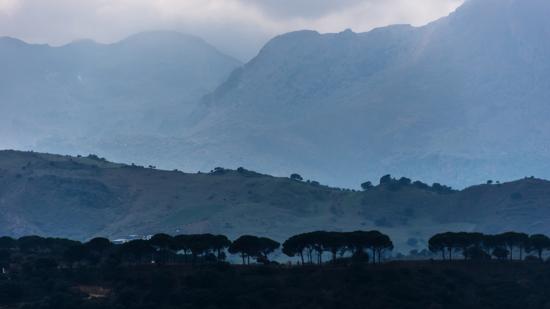 im Nebel - Ronda/Andalusien