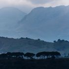 im Nebel - Ronda/Andalusien