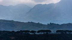 im Nebel - Ronda/Andalusien