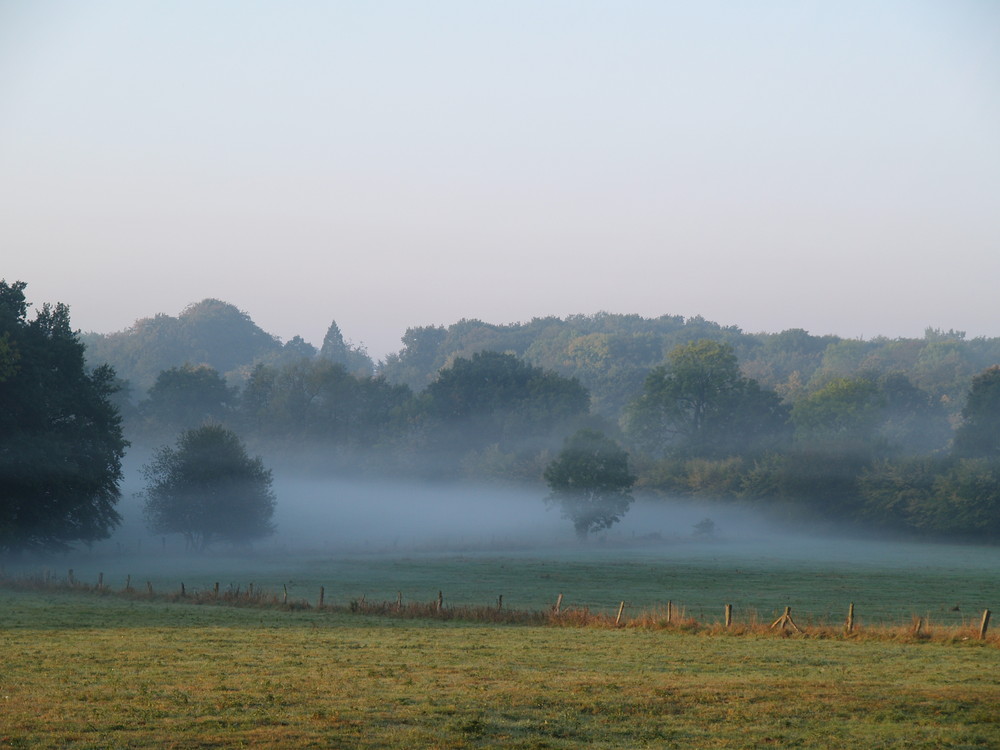 Im Nebel ruhet noch die Welt...