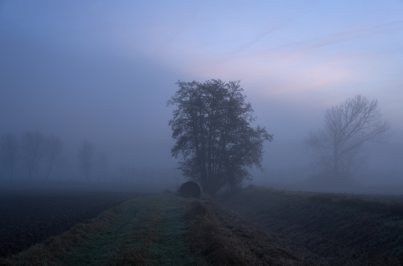 Im Nebel ruhet noch die Welt