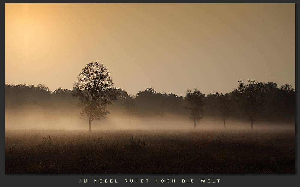 Im Nebel ruhet noch die Welt