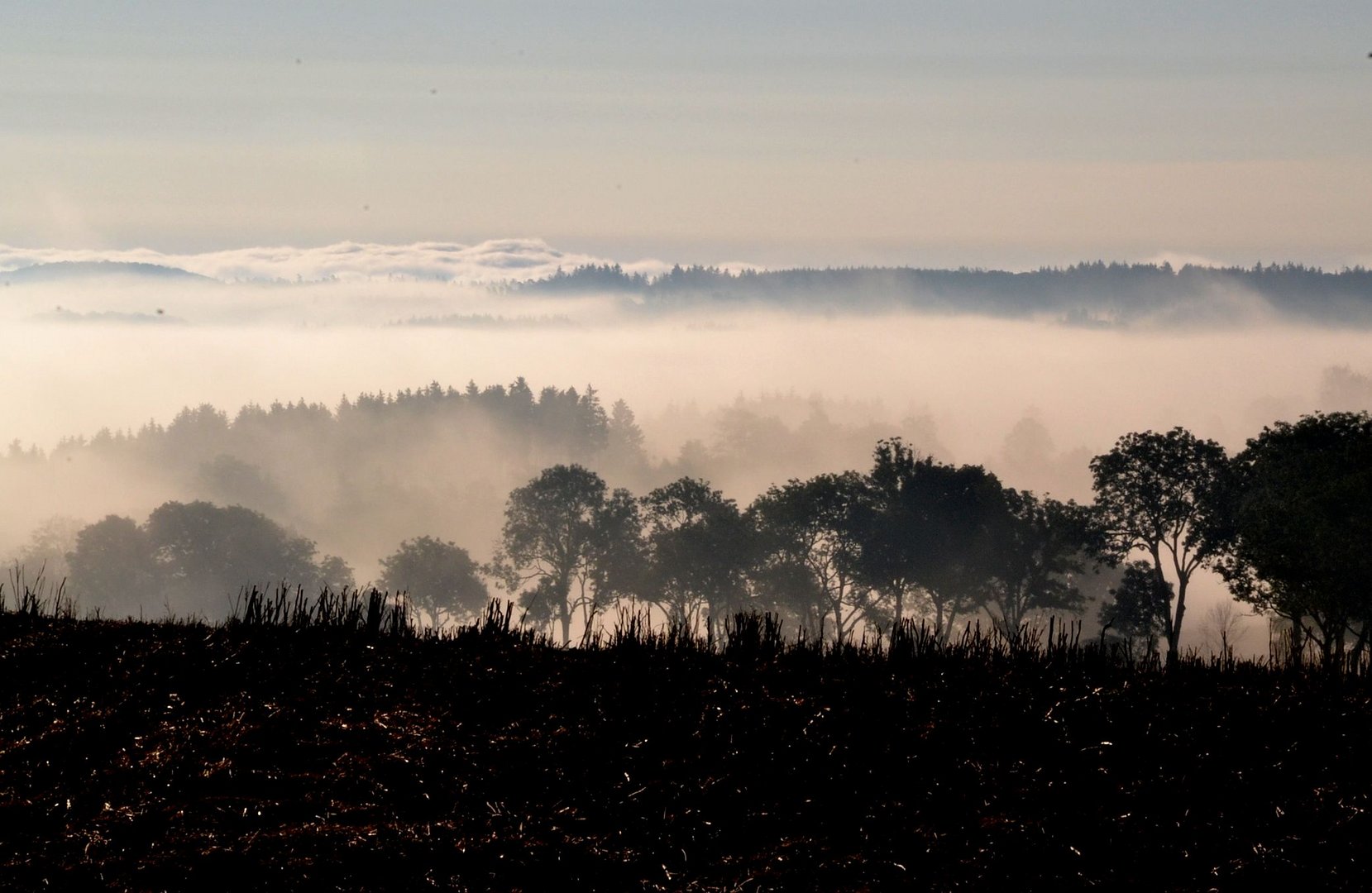 Im Nebel ruhet noch die Welt...