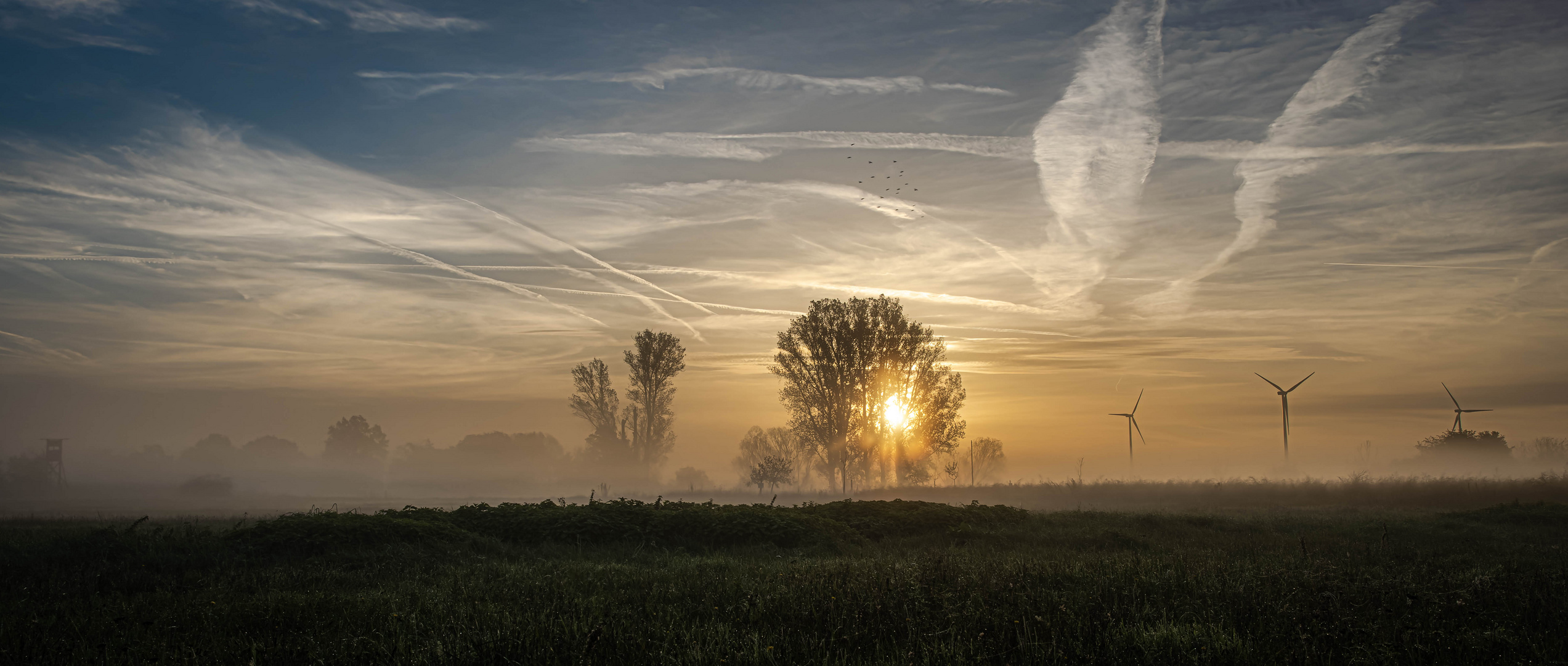 Im Nebel ruhet noch die Welt