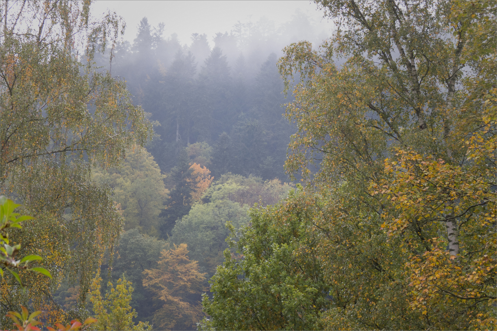 Im Nebel ruhet noch die Welt