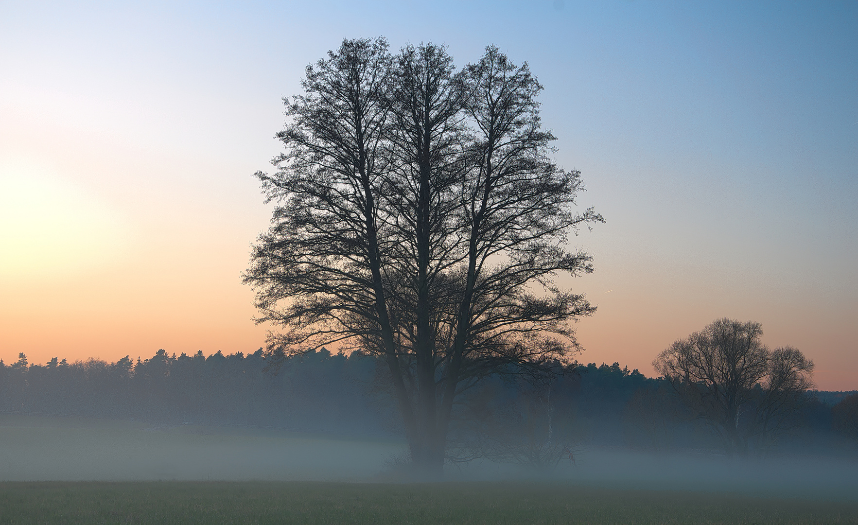 Im Nebel ruhet noch die Welt, noch träumen Wald und Wiesen;