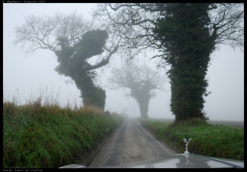 Im Nebel sehen englische Bäume manchmal aus wie...