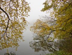 IM NEBEL UM DEN KATZENSEE KT. ZÜRICH