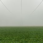 Im Nebel untergetaucht