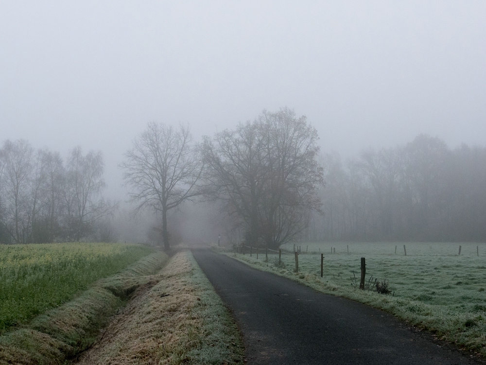 Im Nebel unterwegs