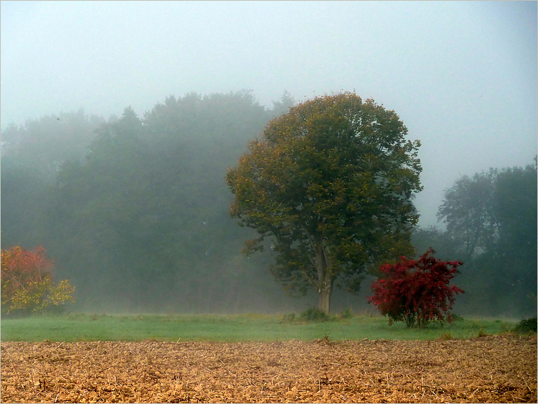 Im Nebel unterwegs ****