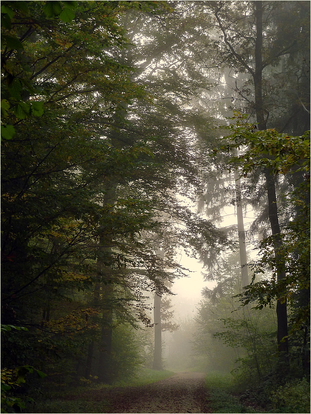 Im Nebel unterwegs