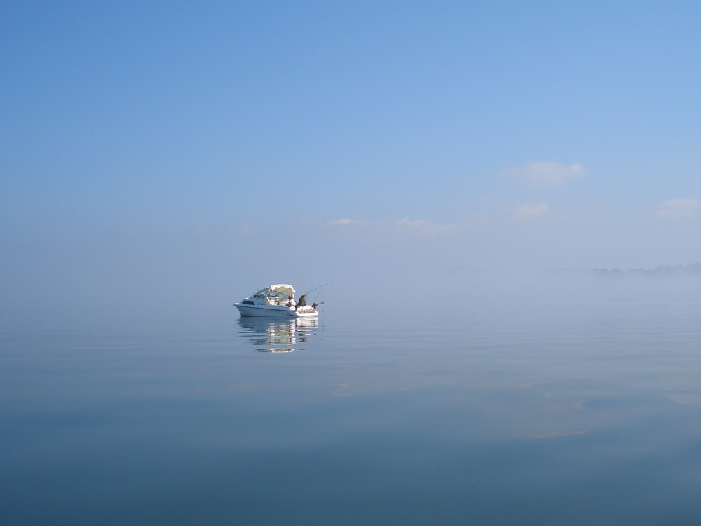 * im Nebel verfangen