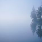 Im Nebel verloren...