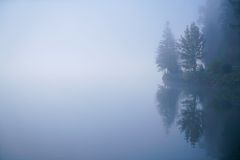 Im Nebel verloren...