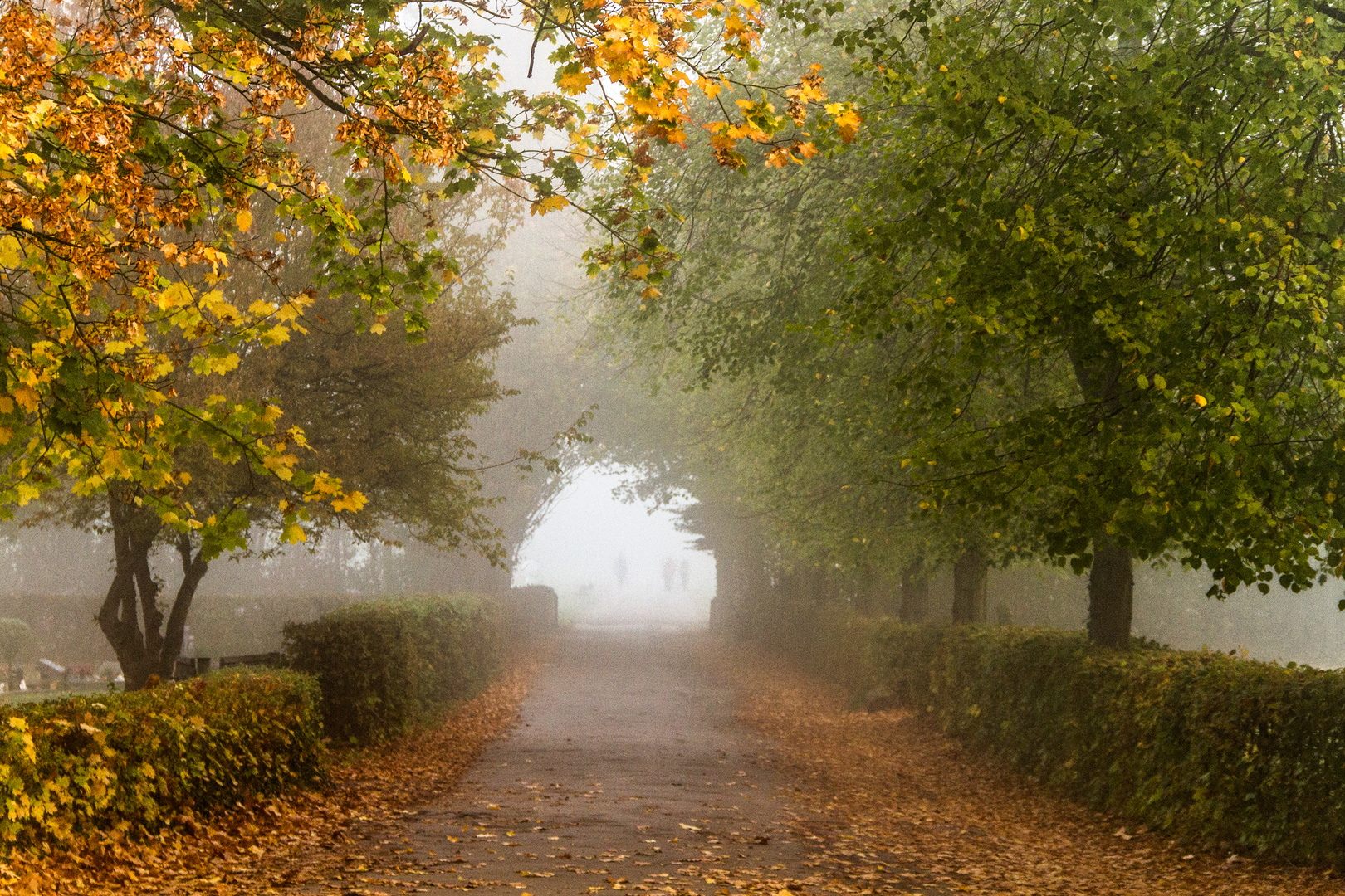 Im Nebel verschwunden