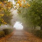 Im Nebel verschwunden