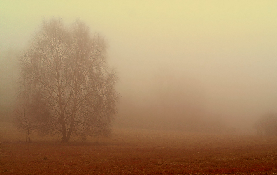 Im Nebel versunken