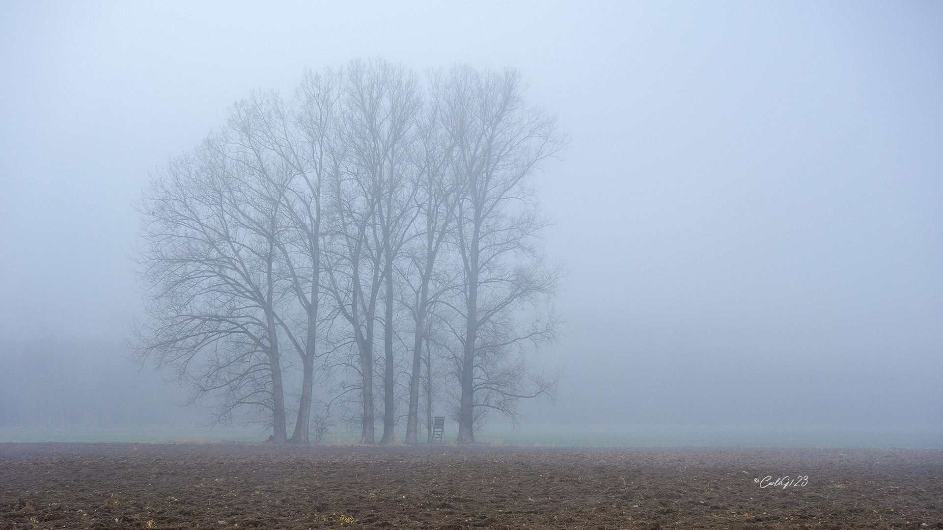 Im Nebel versunken 