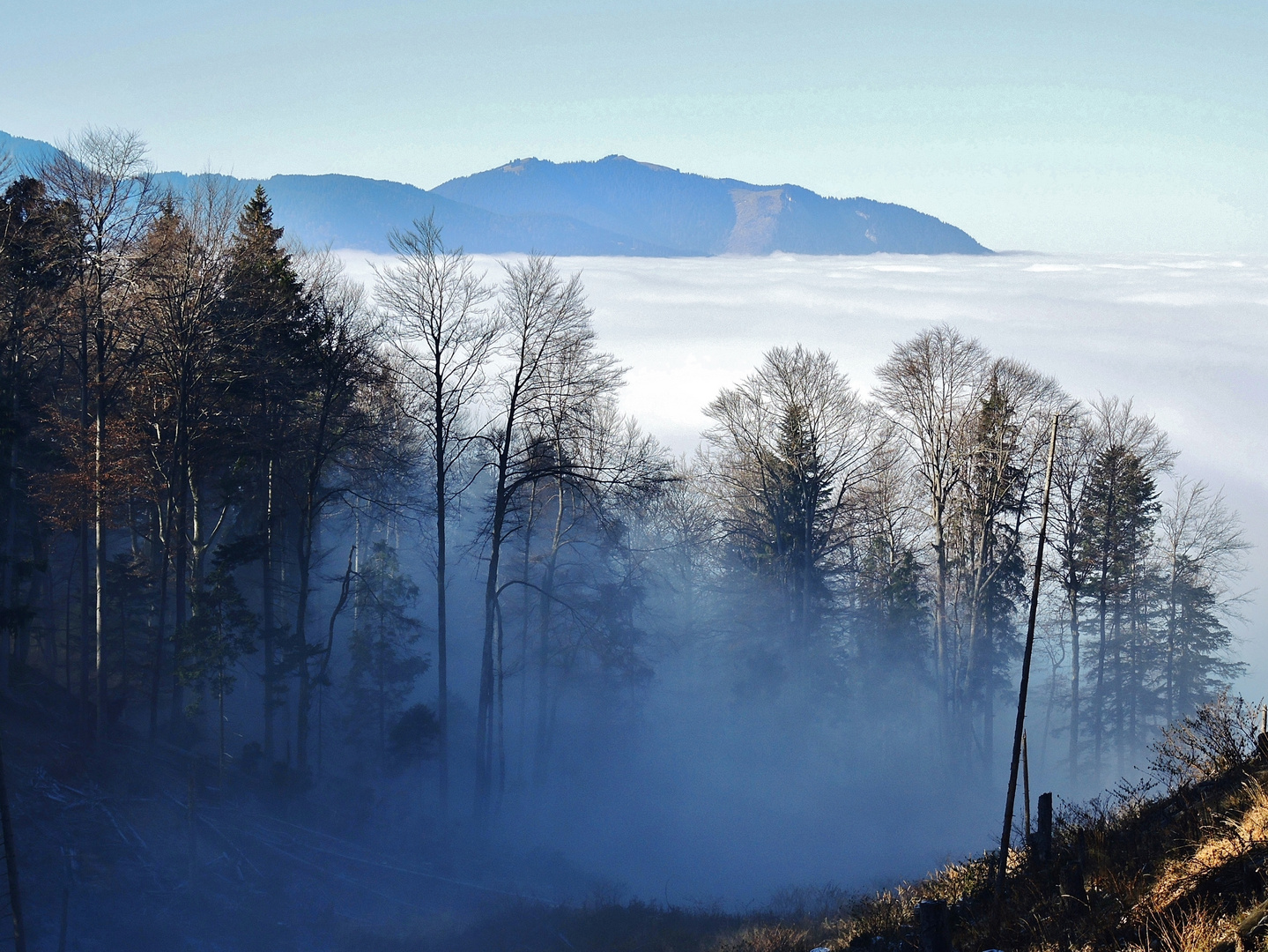 Im Nebel versunken…