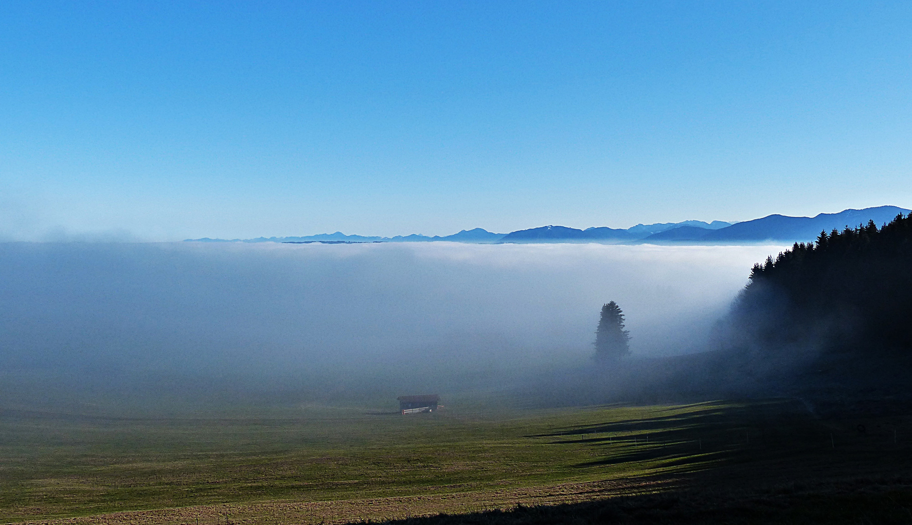 Im Nebel versunken