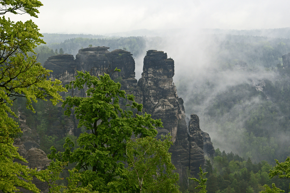 Im Nebel versunken