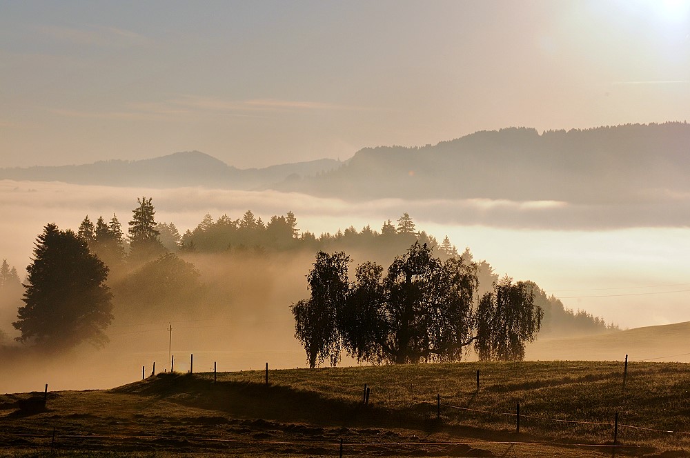 Im Nebel versunken