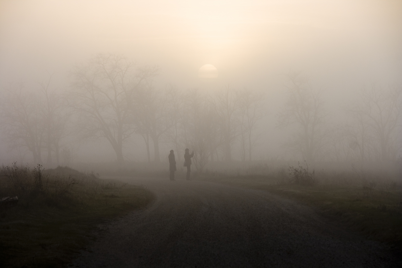 im nebel wandern