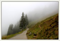 Im Nebel zum Schwaben Berghaus