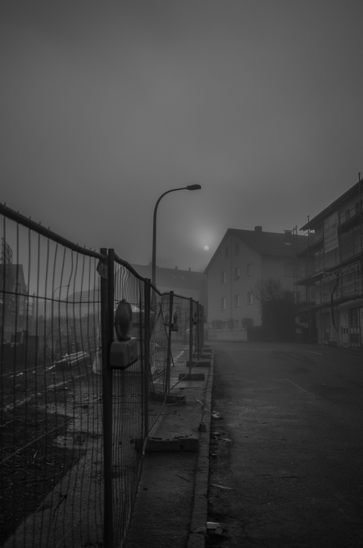 im Nebel12