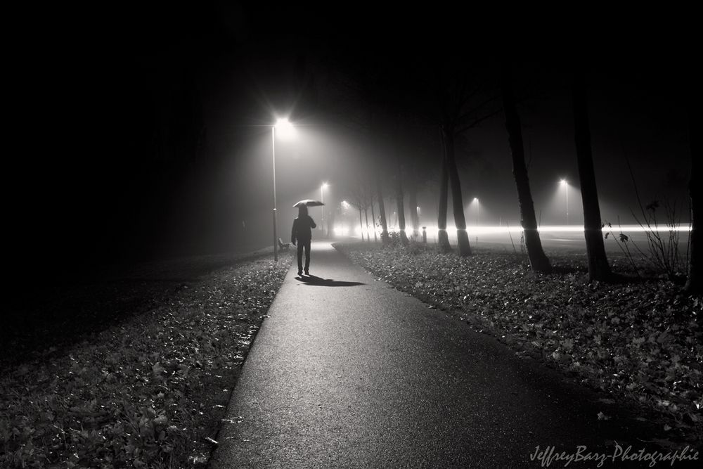 Im Nebel,durch die Nacht by Jeffrey Barz