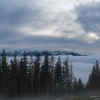 Im Nebelmeer am Schwarzenberg