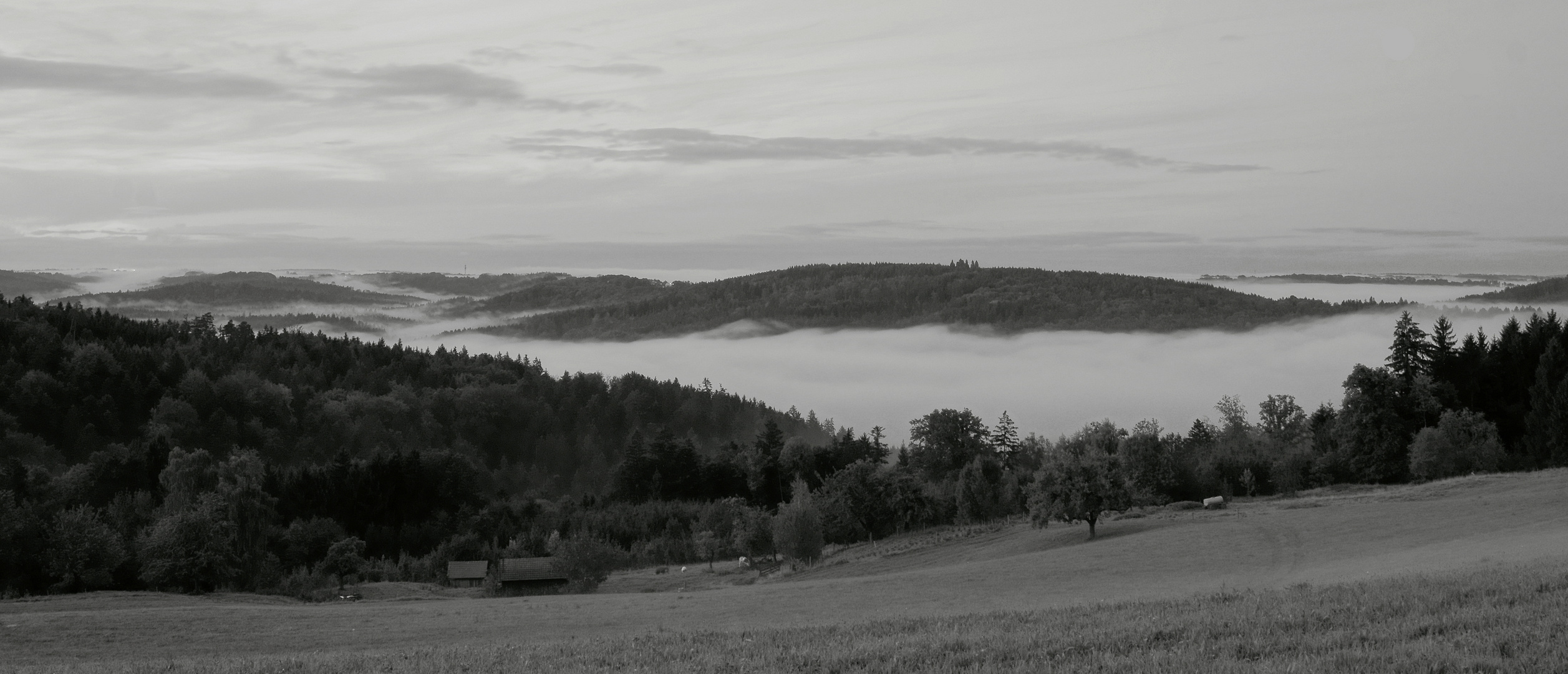 im nebelmeer versunken