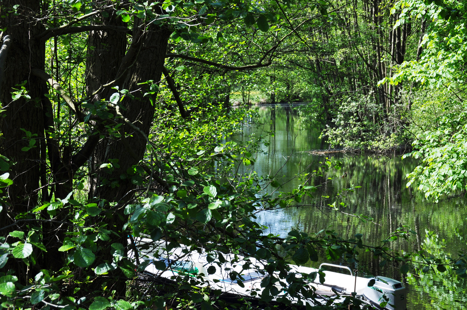 Im Nebeltal bei Krakow am See/M-V