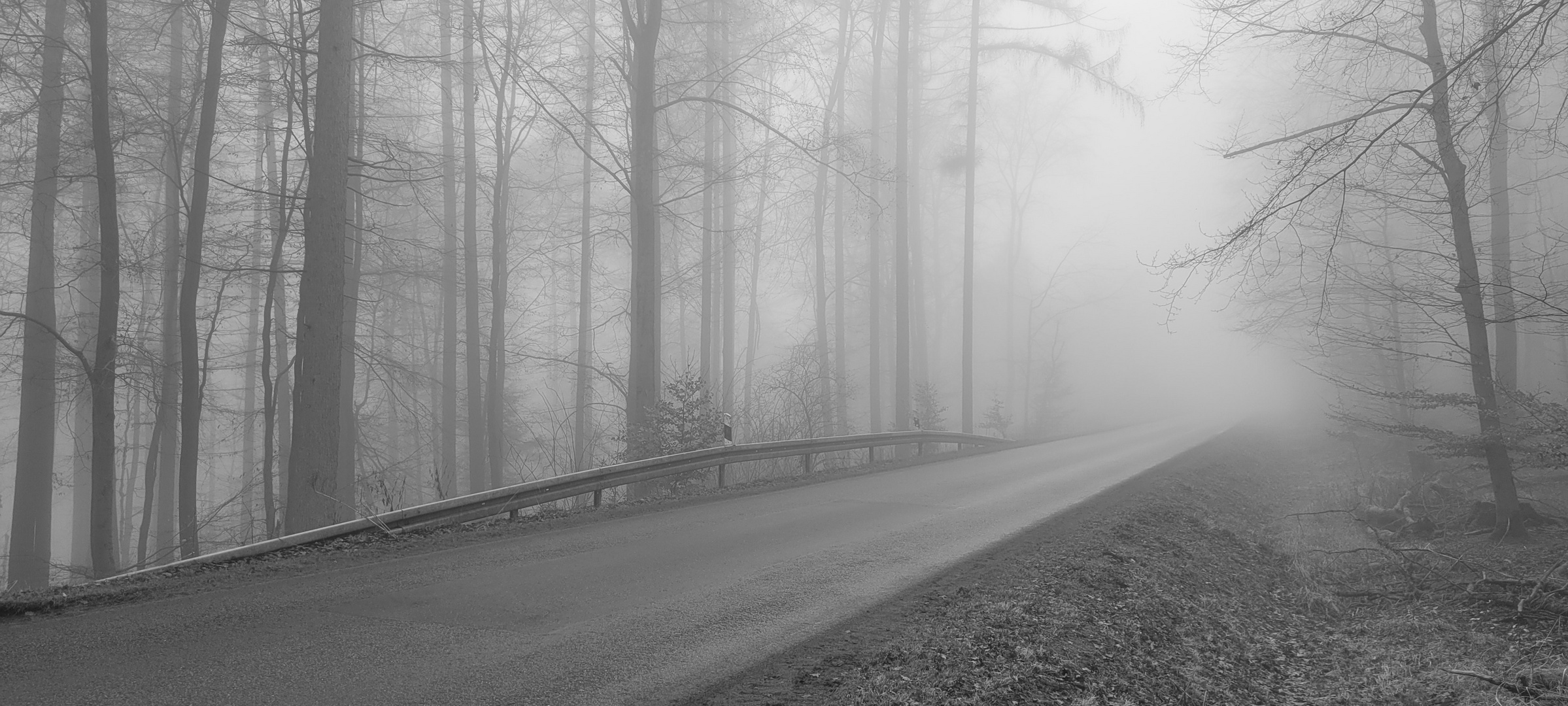 Im Nebelwald