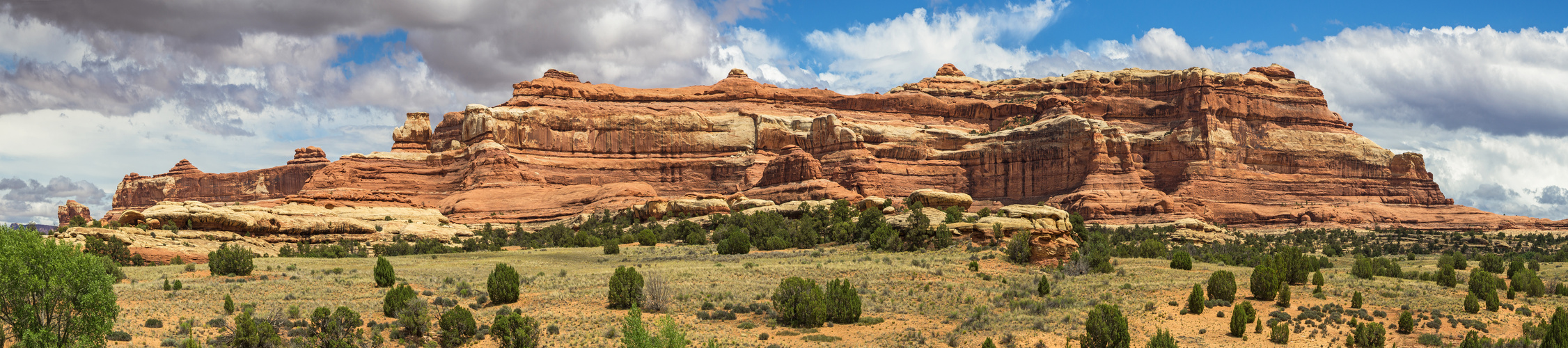 Im Needles District