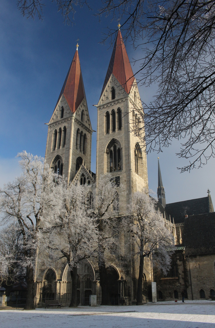 Im neuen Glanz erstrahlt der Dom.